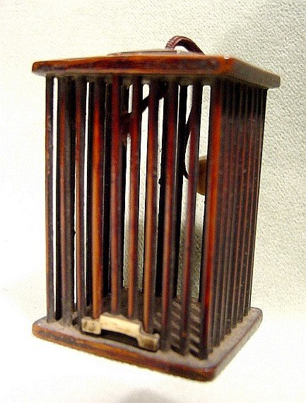 cage1_1.jpg